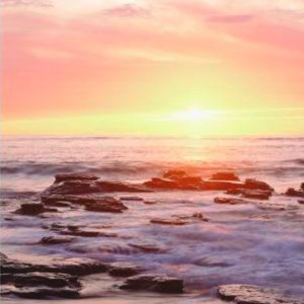 Meet your Posher, Irena